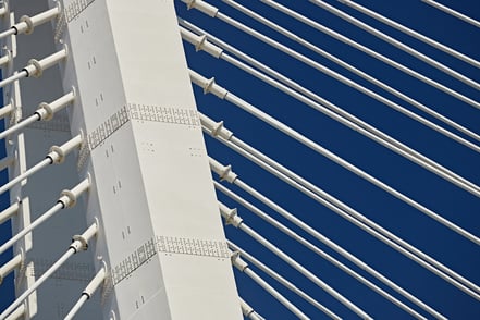 The Connective Tissue: Why Email is the Strategic Anchor of Lead Nurturing